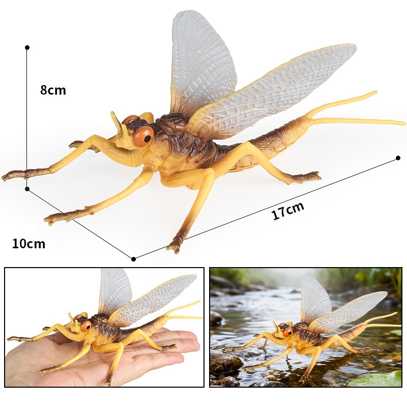 Trẻ em mô phỏng côn trùng mô hình đồ chơi động vật mayflies dế ve sầu nút tre côn trùng túi lớn côn trùng xẻng bọ cánh cứng đồ trang trí