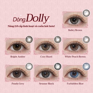 Kính áp tròng Kilala màu nâu Dolly Collection DIA  14.5mm lens cận 6 tháng có độ 0-7[Giá 1 chiếc lens ]
