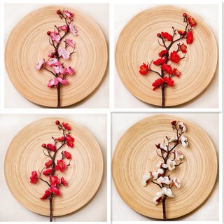 Hoa Mai Giả Cành Đào Đông Trang Trí Tết 60cm Cao Cấp Đẹp Lụa Decor Nhà Cửa Phòng Khách Phụ Kiện Cắm Bình Nghệ Thuật Đỏ Hồng Trắng Nhánh Cây Như Thật Vintage Chụp Ảnh Sang Trọng Xuân Quà Tặng Ý Nghĩa