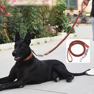 Dây xích chó có vòng cổ, Dây xích chó da bò chống nổ 1,2M, Vòng cổ chó có thể điều chỉnh có lò xo đệm cho chó lớn và vừa đi bộ