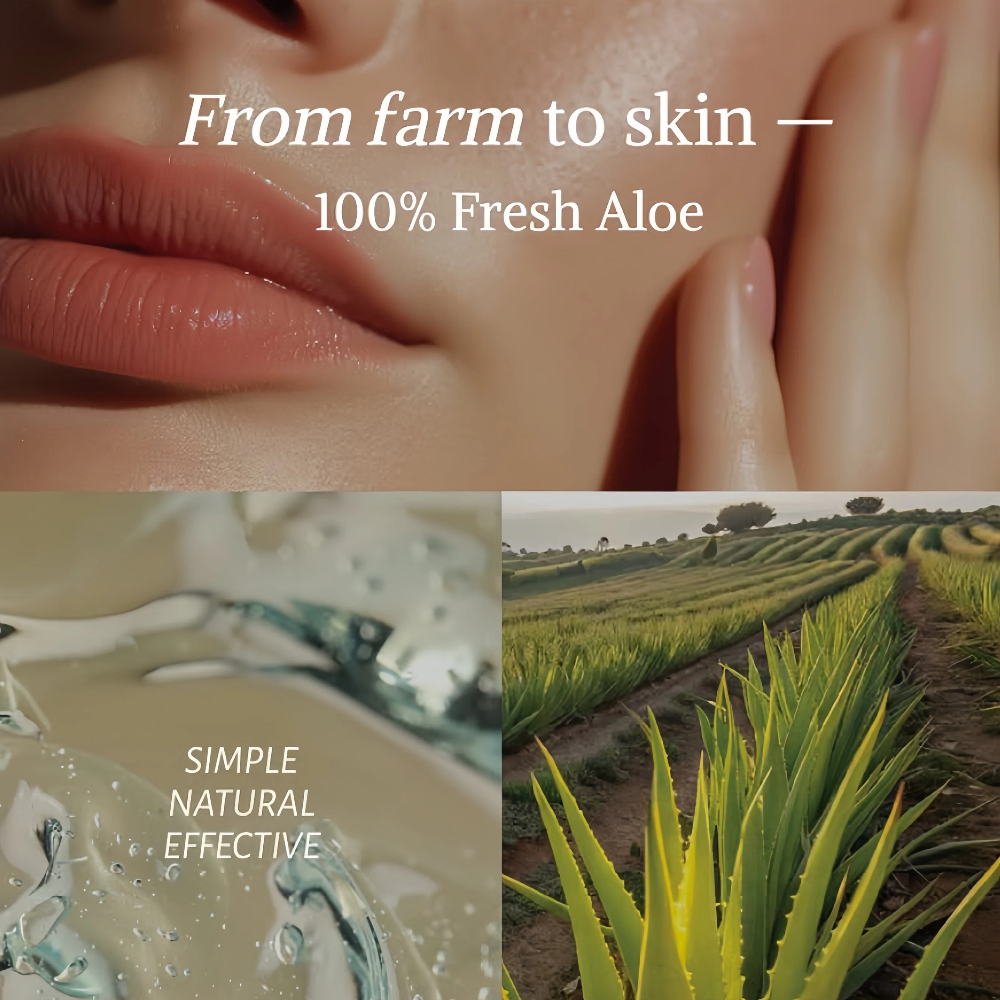 Ô - Gel Lô Hội