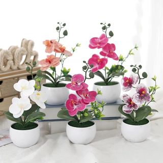 Hoa Lan Hồ Điệp Giả Chậu Mini Trang Trí Nhà Cửa Để Bàn Đẹp Cây Cảnh Nhân Tạo Phalaenopsis Decor Phòng Khách Ngủ Làm Việc Tiệc Cưới Quà Tặng Sang Trọng Thực Tế Cao Cấp Phụ Kiện Chụp Ảnh Nội Thất Góc Ban Công Kệ Sách Bếp Bền Màu Nhỏ Gọn Sinh Động Tự Nhiên