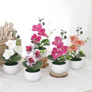 Hoa Lan Hồ Điệp Giả Chậu Mini Trang Trí Nhà Cửa Để Bàn Đẹp Cây Cảnh Nhân Tạo Phalaenopsis Decor Phòng Khách Ngủ Làm Việc Tiệc Cưới Quà Tặng Sang Trọng Thực Tế Cao Cấp Phụ Kiện Chụp Ảnh Nội Thất Góc Ban Công Kệ Sách Bếp Bền Màu Nhỏ Gọn Sinh Động Tự Nhiên