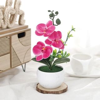 Hoa Lan Hồ Điệp Giả Chậu Mini Trang Trí Nhà Cửa Để Bàn Đẹp Cây Cảnh Nhân Tạo Phalaenopsis Decor Phòng Khách Ngủ Làm Việc Tiệc Cưới Quà Tặng Sang Trọng Thực Tế Cao Cấp Phụ Kiện Chụp Ảnh Nội Thất Góc Ban Công Kệ Sách Bếp Bền Màu Nhỏ Gọn Sinh Động Tự Nhiên