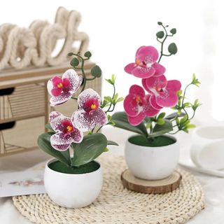 Hoa Lan Hồ Điệp Giả Chậu Mini Trang Trí Nhà Cửa Để Bàn Đẹp Cây Cảnh Nhân Tạo Phalaenopsis Decor Phòng Khách Ngủ Làm Việc Tiệc Cưới Quà Tặng Sang Trọng Thực Tế Cao Cấp Phụ Kiện Chụp Ảnh Nội Thất Góc Ban Công Kệ Sách Bếp Bền Màu Nhỏ Gọn Sinh Động Tự Nhiên