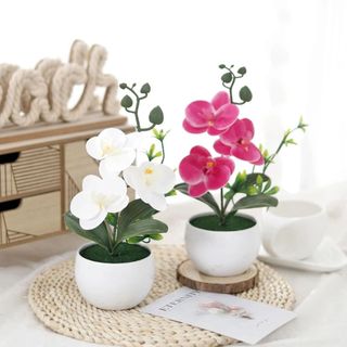 Hoa Lan Hồ Điệp Giả Chậu Mini Trang Trí Nhà Cửa Để Bàn Đẹp Cây Cảnh Nhân Tạo Phalaenopsis Decor Phòng Khách Ngủ Làm Việc Tiệc Cưới Quà Tặng Sang Trọng Thực Tế Cao Cấp Phụ Kiện Chụp Ảnh Nội Thất Góc Ban Công Kệ Sách Bếp Bền Màu Nhỏ Gọn Sinh Động Tự Nhiên