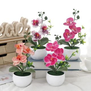 Hoa Lan Hồ Điệp Giả Chậu Mini Trang Trí Nhà Cửa Để Bàn Đẹp Cây Cảnh Nhân Tạo Phalaenopsis Decor Phòng Khách Ngủ Làm Việc Tiệc Cưới Quà Tặng Sang Trọng Thực Tế Cao Cấp Phụ Kiện Chụp Ảnh Nội Thất Góc Ban Công Kệ Sách Bếp Bền Màu Nhỏ Gọn Sinh Động Tự Nhiên