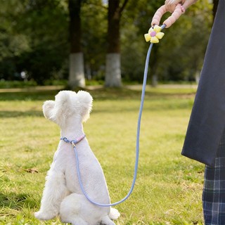 Dây xích cho chó, Huấn luyện dây P cho chó 150cm để chống cháy nổ, Chó đi bộ ngoài trời cho chó nhỏ, vừa và lớn