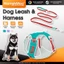 Bộ đi bộ thú cưng HamshMoc 360° Xoay Tay cầm có thể điều chỉnh Khe cắm đèn LED Hợp kim D Ring An toàn ngoài trời