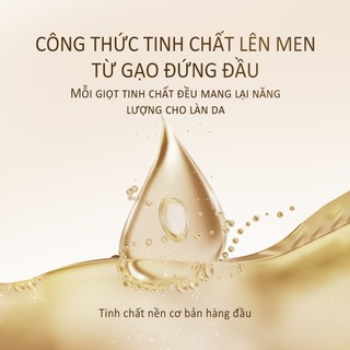 Roopy Mặt Nạ Tay Tinh Dầu Hương Fougère & AHA (38g+0.5g)*3 - Spa Thượng Hạng Tại Nhà, Găng Tay Dưỡng Da Chiết Xuất AHA & Dầu Cho Làn Da Sáng Rỡ