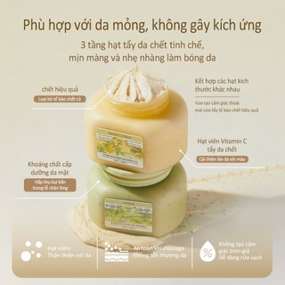Roopy Tẩy Da Chết Toàn Thân Hương Fougère & AHA - Sữa Tắm & Dưỡng Thể 3 trong 1,150ml,Làm sạch sâu, cấp ẩm dưỡng da, Muối Tẩy Tế Bào Chết & Làm Sạch Cho Tay - Tặng Kèm Quà Miễn Phí