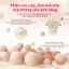 GALIMARD Flawless Setting Powder Oil-Control Matte Medium Coverage Trang điểm mặt chống thấm nước 9g