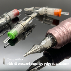 EZ RC Tattoo Cartridge Kim xăm #10 0.30m m #12 0.35mm Vòng Lót / Bóng Tròn Thường Trực Makup Tattoo Phụ Kiện 20 Cái / Hộp