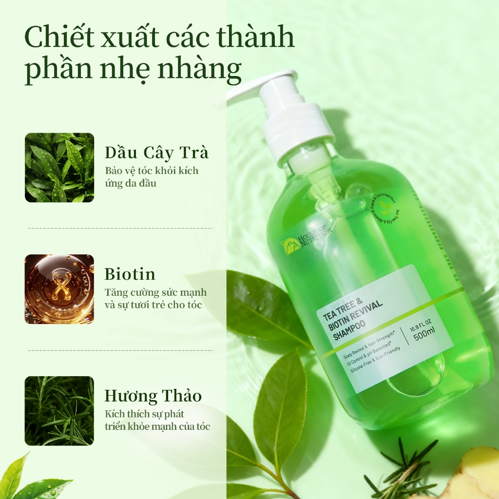 Dầu gội đầu tinh dầu trà 500ml,kiểm soát dầu,làm phồng tóc,phục hồi tóc hư tổn,Kẻ thù của tóc dầu