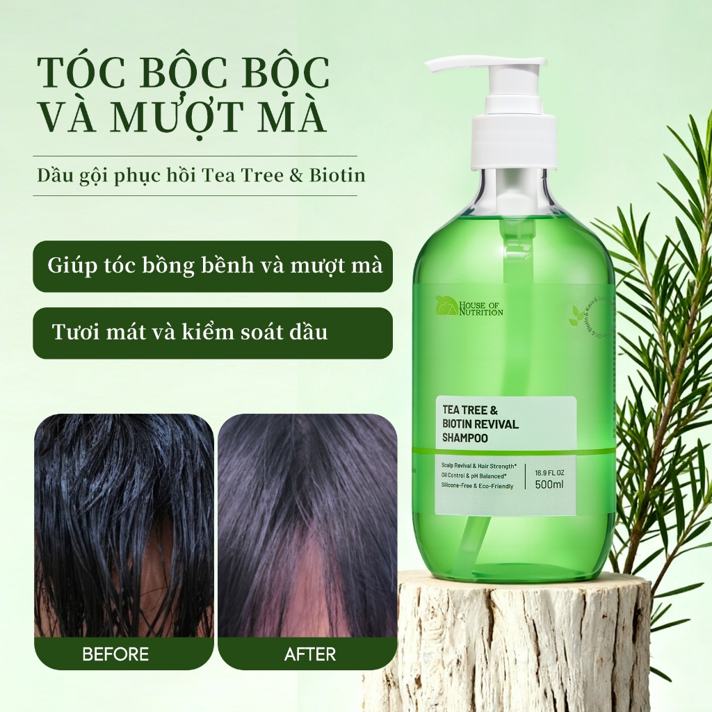 Dầu gội đầu tinh dầu trà 500ml,kiểm soát dầu,làm phồng tóc,phục hồi tóc hư tổn,Kẻ thù của tóc dầu