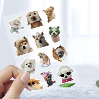100 Chiếc Vui Chó MEME Hoạt Hình Dễ Thương Miếng Dán DIY Điện Thoại Chống Thấm Nước Trong Suốt PET Miếng Dán Trẻ Em Quà Tặng