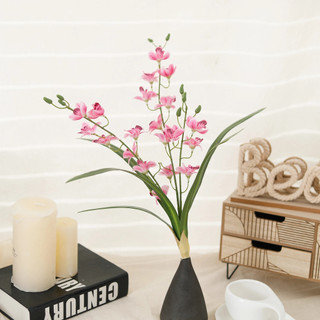 Hoa Lan Giả Cảm Ứng Như Thật Trang Trí Nhà Cửa Cao Cấp Hiện Đại Bó Kiếm Nhân Tạo Decor Phòng Khách Đám Cưới Sang Trọng Phụ Kiện Cắm Bình Gốm Đạo Cụ Chụp Ảnh Bắc Âu  Thẩm Mỹ Nội Thất Ban Công Văn Phòng Sảnh Tiệc Sự Kiện