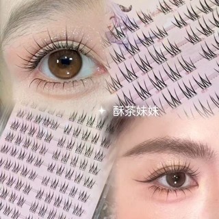 Lông mi giả sốt Sakura 2025 Lông mi trong suốt mới