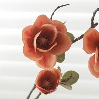 Cành Hoa Mộc Lan Giả Decor Cao Cấp 78cm Giống Thật Trang Trí Nhà Cửa Phòng Khách Sang Trọng Phụ Kiện Chụp Ảnh Studio Vintage Cắm Bình Nghệ Thuật Bông Lụa Nhân Tạo Đẹp Tự Nhiên Quà Tặng Ý Nghĩa Phong Cách Bắc Âu Hiện Đại Không Phai Màu Bền