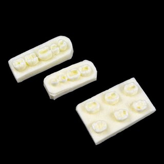 Mô hình thực hành trám răng bằng nhựa nha khoa, mô hình răng trước/sau, chỉ dùng cho đào tạo