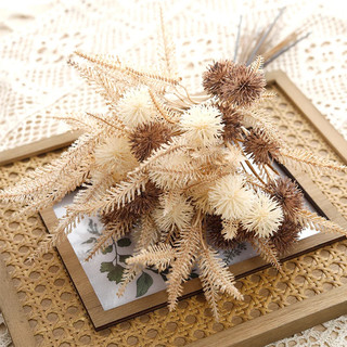 Bó Hoa Giả Bồ Công Anh Pompon Boho Decor Phòng Khách Trang Trí Nhà Cửa Phụ Kiện Chụp Ảnh Vintage Mùa Thu Cỏ Nhân Tạo Mộc Mạc Màu Kem Nâu Đám Cưới DIY Sắp Xếp Thẩm Mỹ Sang Trọng Cao Cấp Cây Khô