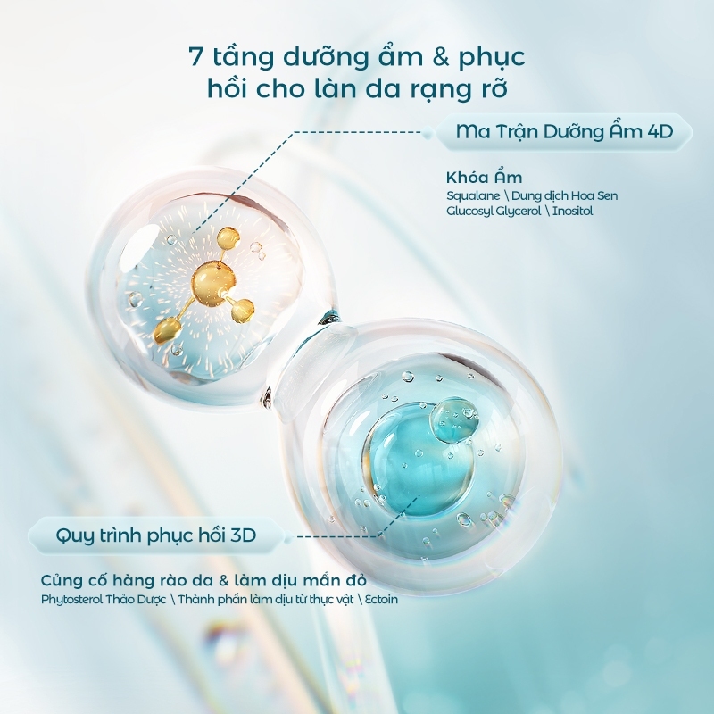 【Yến Muốn Đẹp Livestream】Florasis (Hoa Tây Tử) Bộ nước hoa hồng & sữa dưỡng dòng Rạng rỡ tự nhiên gồm sữa dưỡng săn chắc 100ml và nước dưỡng sáng da 120ml Lotus Radiance— Dưỡng ẩm, làm sáng da, chống lão hóa, mờ nếp nhăn và phục hồi da