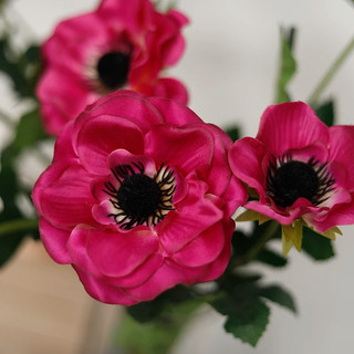 Hoa Lụa Anemone Giả 3 Bông Trang Trí Nhà Cửa Decor Phòng Khách Cành Anh Túc Cao Cấp Giống Thật Phụ Kiện Chụp Ảnh Đạo Cụ Studio Cắm Bình Bàn Làm Việc Màu Retro Vintage Sang Trọng Quà Tặng Sống Ảo Nội Thất Không Gian Hoa Vải Mỹ Thuật Hiện Đại Tinh Tế Đẹp