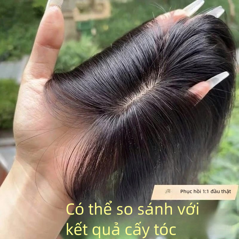 Miếng Tóc Giả Bổ Sung 100% Tóc Thật: Che Tóc Bạc & Tăng Mật Độ Đỉnh Đầu ...