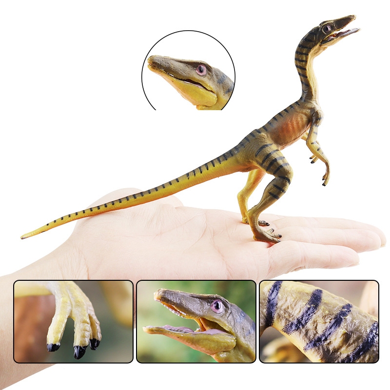 Trẻ Em Khủng Long Động Vật Kỷ Jura Mô Phỏng Compsognathus Mô Hình Hiển Thị Hàm Rồng Hàm Đẹp Rồng Hàm Hàm Mịn Đồ Chơi Rồng