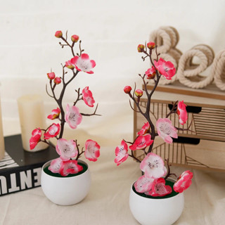 Nhân Tạo Hoa Mai Cây Cảnh Sakura Giả Chậu Cây Văn Phòng Tại Nhà Trang Trí Máy Tính Để Bàn Tết Nguyên Đán CNY Quà Tặng May Mắn Zen Thẩm Mỹ Hoa Lụa Trang Trí Tiệc Cưới Hồng Đỏ Trắng