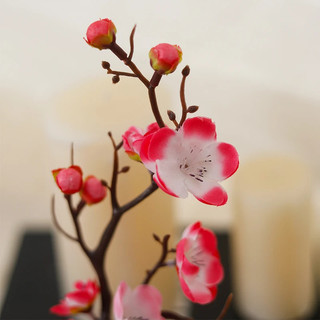 Nhân Tạo Hoa Mai Cây Cảnh Sakura Giả Chậu Cây Văn Phòng Tại Nhà Trang Trí Máy Tính Để Bàn Tết Nguyên Đán CNY Quà Tặng May Mắn Zen Thẩm Mỹ Hoa Lụa Trang Trí Tiệc Cưới Hồng Đỏ Trắng