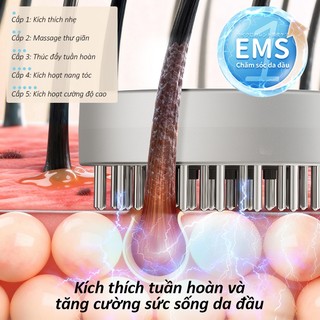 Lược massage da đầu điện NIPLIFE HB-01 Scalp - Hộp đựng serum tích hợp - Hồng ngoại - Chống nước
