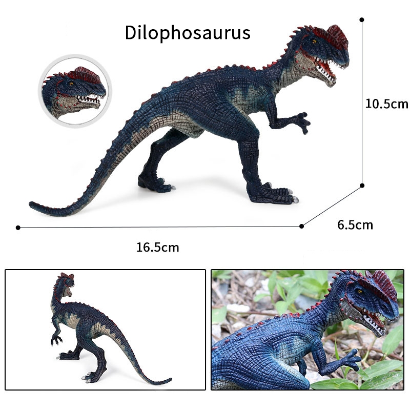 Kỷ Jura Trẻ Em Mô Phỏng Động Vật Tĩnh Chắc Chắn Dilophosaurus Tyrannosaurus Rex Đồ Chơi Khủng Long Cột Sống Đôi Mô Hình Rồng Trang Trí