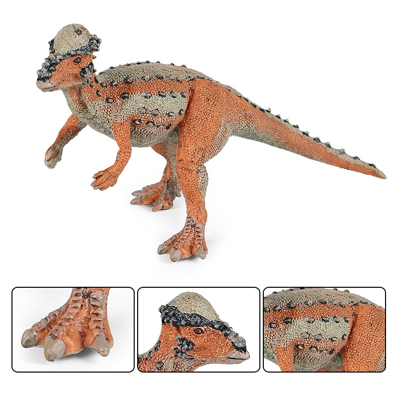 Mô phỏng khủng long kỷ Jura mô phỏng với đầu sưng rắn rồng Styx rồng Tyrannosaurus rex đồ chơi trẻ em trang trí Pachycephalosaurus
