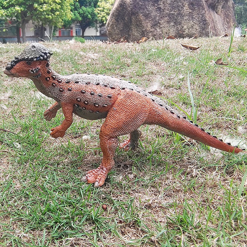 Mô phỏng khủng long kỷ Jura mô phỏng với đầu sưng rắn rồng Styx rồng Tyrannosaurus rex đồ chơi trẻ em trang trí Pachycephalosaurus
