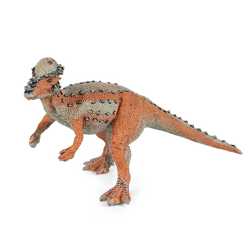 Mô phỏng khủng long kỷ Jura mô phỏng với đầu sưng rắn rồng Styx rồng Tyrannosaurus rex đồ chơi trẻ em trang trí Pachycephalosaurus