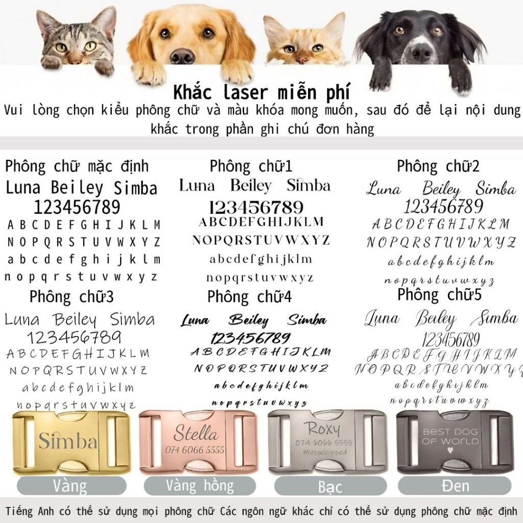 Vòng cổ mèo kẻ sọc & Bộ dây xích thắt nơ cổ chó nhỏ, Thẻ tên chó con được khắc tùy chỉnh, Chuông vàng miễn phí, Quà tặng thú cưng nam nữ