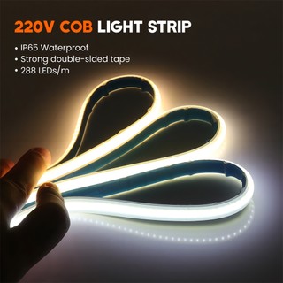 288LEDs / m COB LED Strip 220V Có thể điều chỉnh độ sáng RA90 Sân vườn ngoài trời Băng LED Neon Phòng ngủ Chiếu sáng nhà bếp Trang trí Giáng sinh