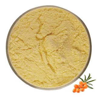 Bột trái cây hắc mai biển 100% Bột trái cây hắc mai biển nguyên chất hữu cơ 500g / 1000g