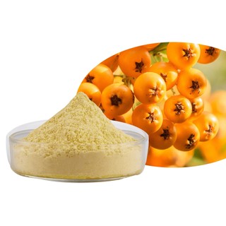 Bột trái cây hắc mai biển 100% Bột trái cây hắc mai biển nguyên chất hữu cơ 500g / 1000g