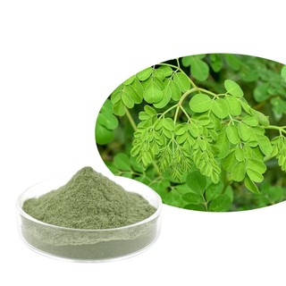 Nhà máy cung cấp trực tiếp Bột lá Moringa 500g / 1000g | Bột Moringa hữu cơ