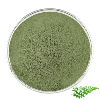 Nhà máy cung cấp trực tiếp Bột lá Moringa 500g / 1000g | Bột Moringa hữu cơ
