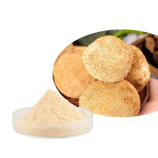 Bột nấm bờm Hericium Erinaceus Lion 's hữu cơ ❈ ❈ ❈ Bột Mane Lion 500g / 1000g