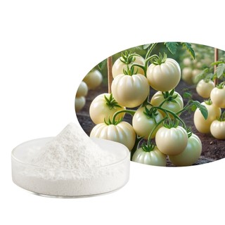 Bột Cà Chua Trắng 500g / 1000g | 100% Nguyên Chất Tự Nhiên Không Đường Không Phụ Gia