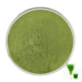 Thực phẩm hữu cơ Bột cỏ lúa mạch 100% Bột cỏ lúa mạch 500g / 1000g