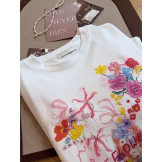 Áo Thun Nữ Tay Ngắn 100% Cotton Cổ Tròn In Hình Hoạt Hình Mới 2026