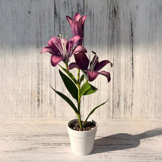 Nhân Tạo Hoa Lily Chậu Cây Cảnh Giả Hoa Lụa Trang Trí Nhà Thẩm Mỹ Văn Phòng Bàn Làm Việc Thực Tế Sống Động Như Thật Trong Nhà Quà Tặng Trang Trí 43cm Lớn