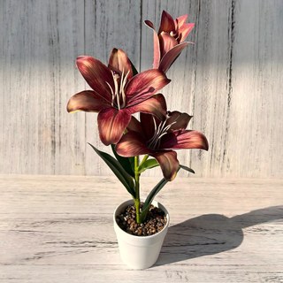 Nhân Tạo Hoa Lily Chậu Cây Cảnh Giả Hoa Lụa Trang Trí Nhà Thẩm Mỹ Văn Phòng Bàn Làm Việc Thực Tế Sống Động Như Thật Trong Nhà Quà Tặng Trang Trí 43cm Lớn