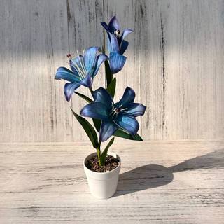 Nhân Tạo Hoa Lily Chậu Cây Cảnh Giả Hoa Lụa Trang Trí Nhà Thẩm Mỹ Văn Phòng Bàn Làm Việc Thực Tế Sống Động Như Thật Trong Nhà Quà Tặng Trang Trí 43cm Lớn