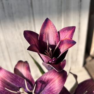 Nhân Tạo Hoa Lily Chậu Cây Cảnh Giả Hoa Lụa Trang Trí Nhà Thẩm Mỹ Văn Phòng Bàn Làm Việc Thực Tế Sống Động Như Thật Trong Nhà Quà Tặng Trang Trí 43cm Lớn